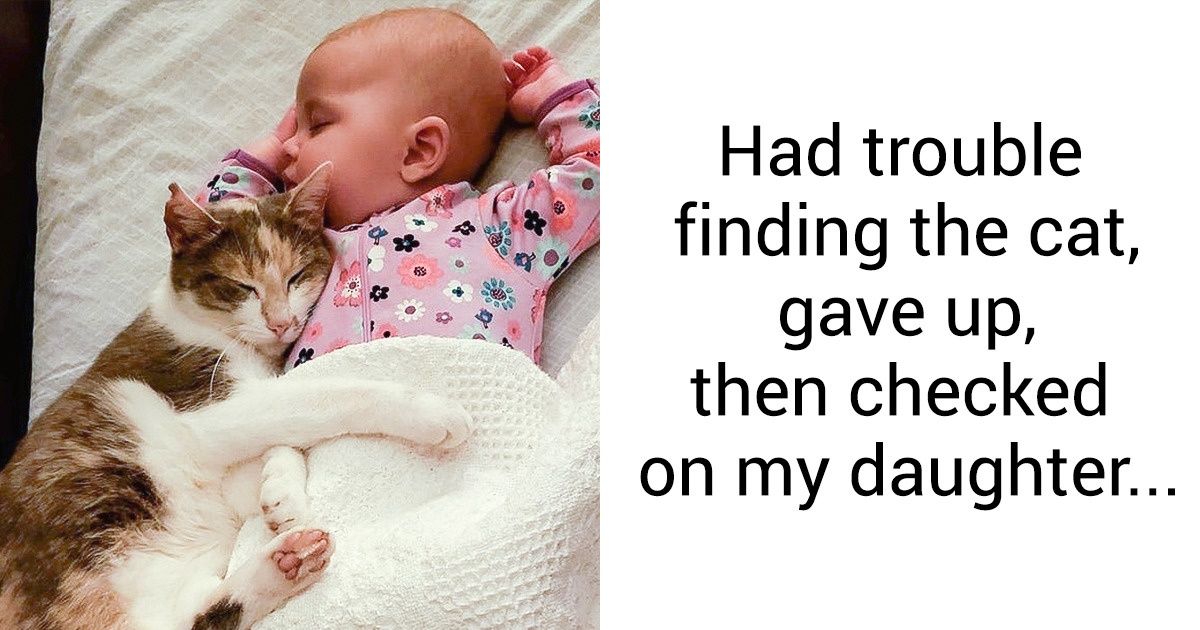 20 Photos That Made Us Adore the Friendship Between Animals and Their Hoomans 20 Photos That Made Us Adore the Friendship Between Animals and Their Hoomans