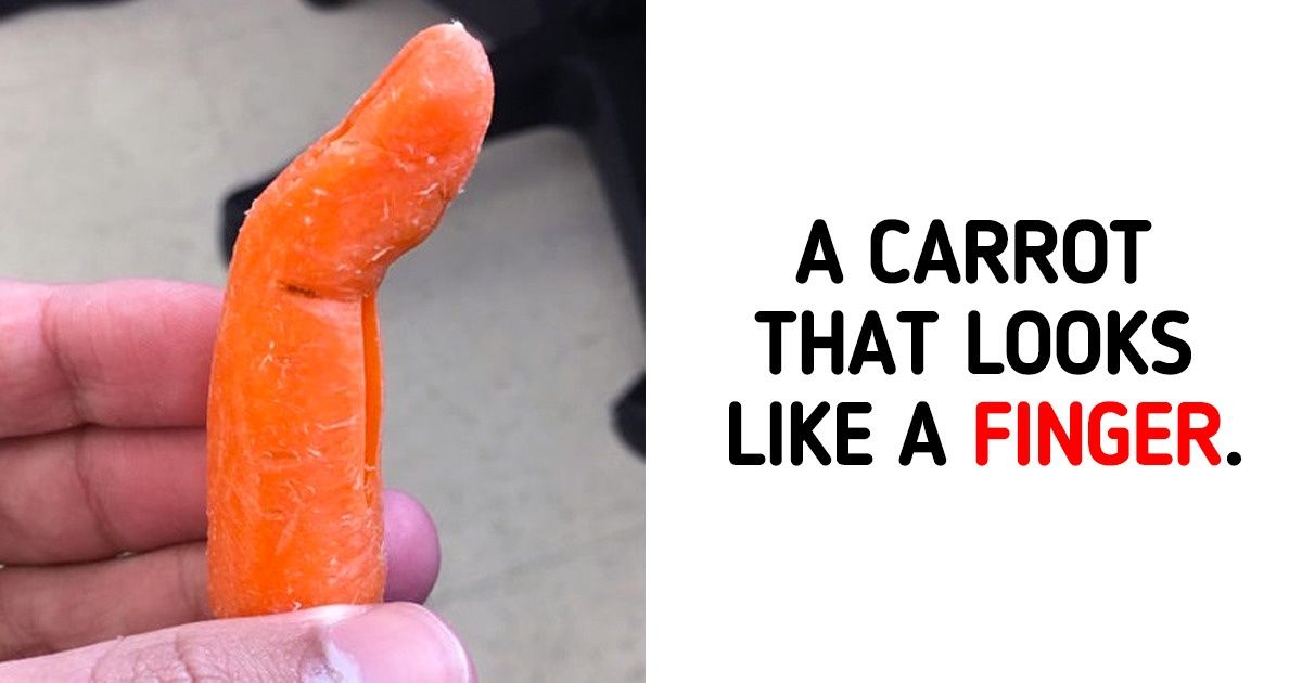 20+ Times People Were Lucky Enough to See Something Truly Special