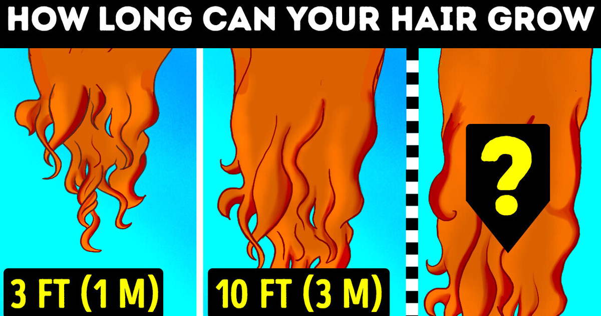 Each Person Has a Maximum Hair Length and 26 Cool Hair Facts Each Person Has a Maximum Hair Length and 26 Cool Hair Facts