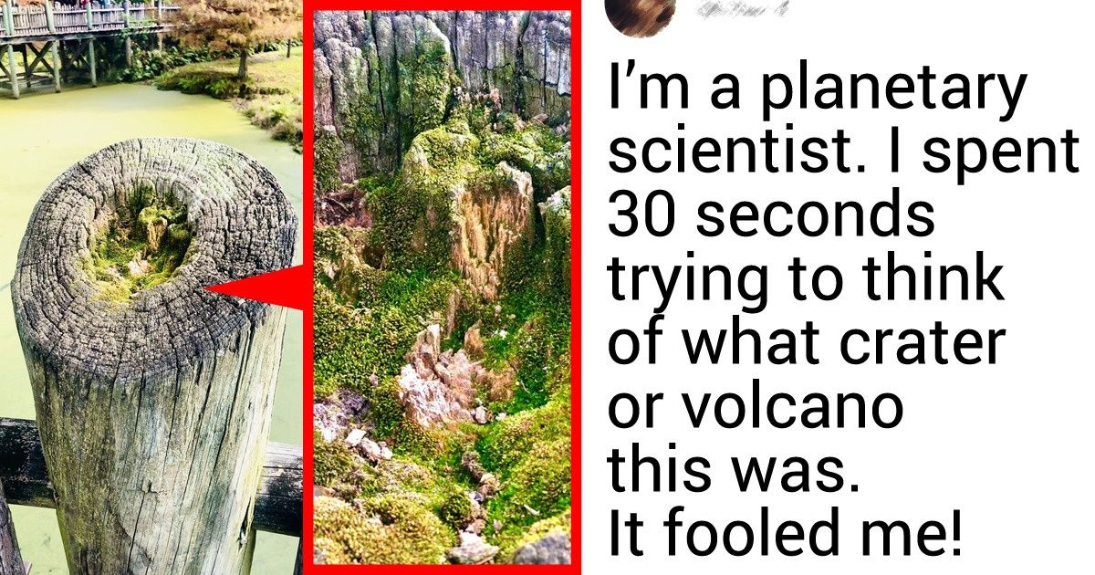 19 Pics That Open Our Eyes to New Worlds in the Tiniest of Places
