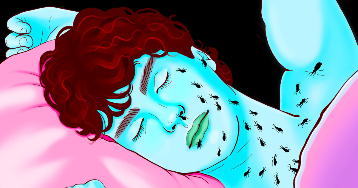 Bed Bugs Are Not a Part of the Food Chain, So Why Do They Exist? Bed Bugs Are Not a Part of the Food Chain, So Why Do They Exist?