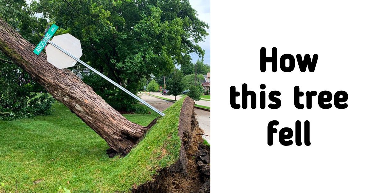 15 Times Nature Proved to Be the Most Powerful Force on Earth
