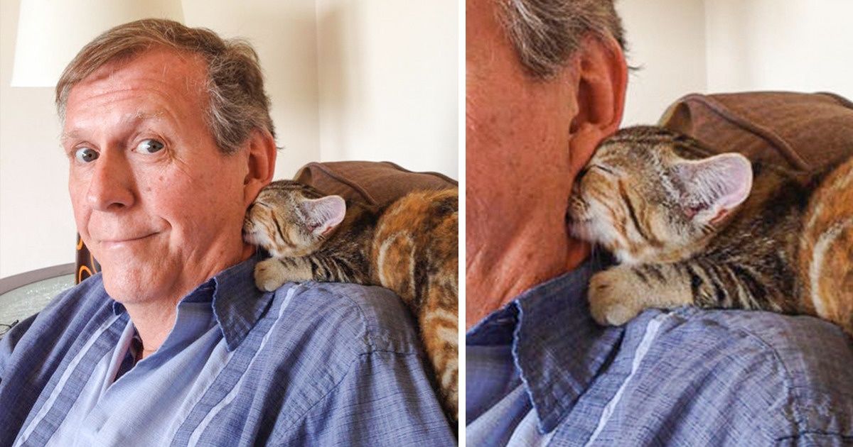 18 Animals That Don’t Need Speaking Skills to Express Their Feelings