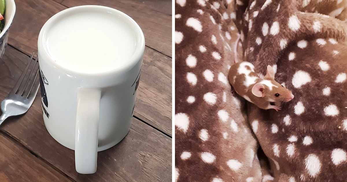 15+ Times People Played “Where’s Waldo” in Real Life