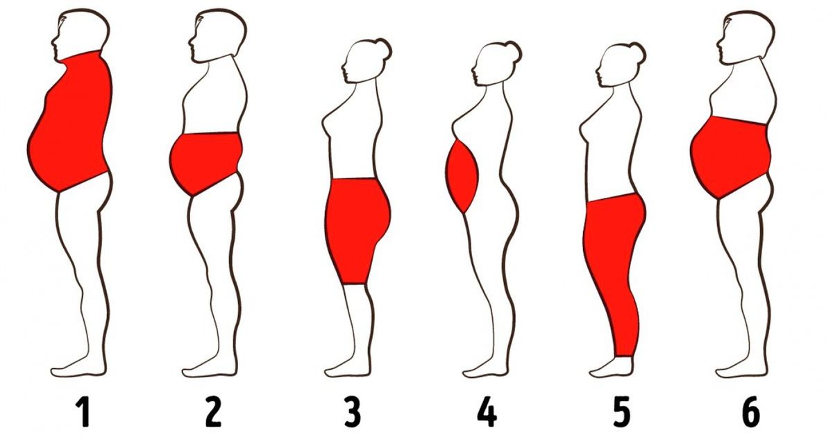 6 Types of Body Fat and How to Get Rid of It / Bright Side