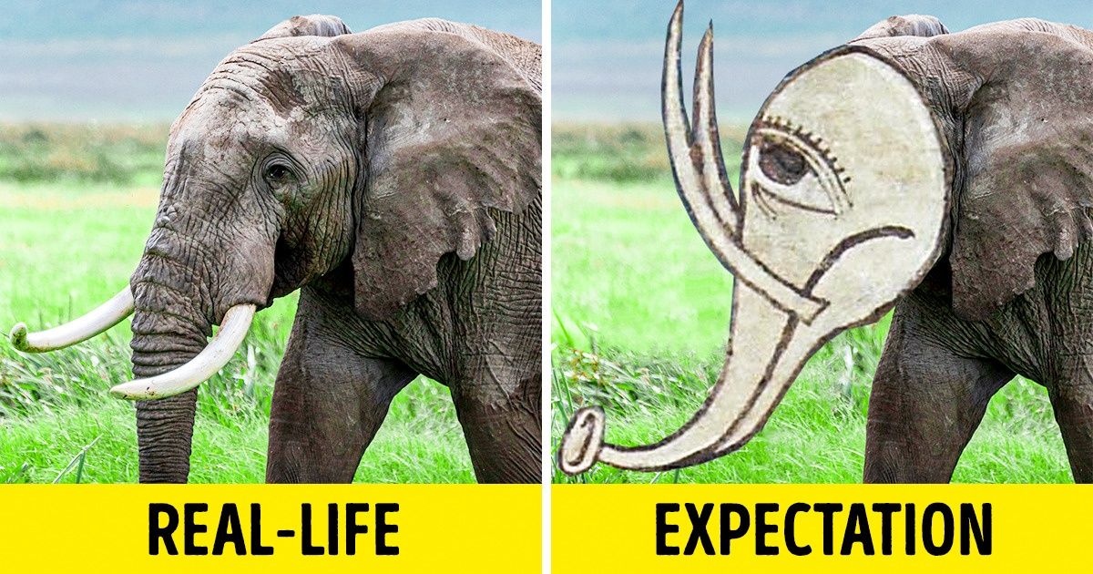 What Medieval People Thought 15+ Animals Looked Like Based on Legends
