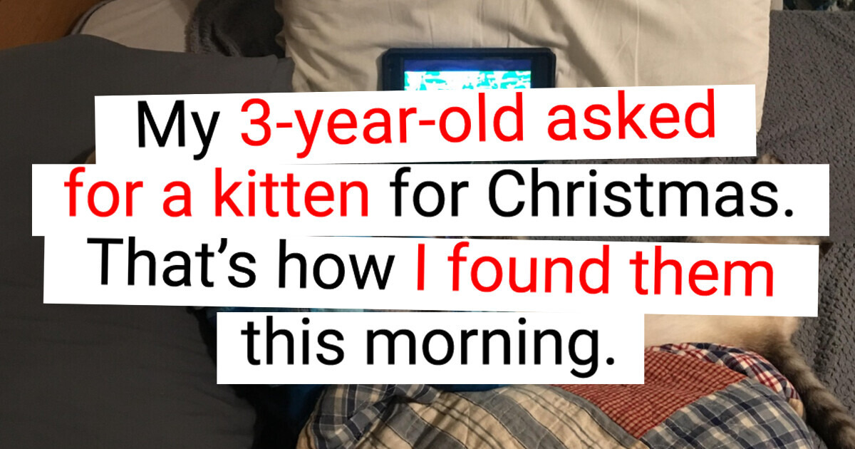 13 Surprising Moments When Pets Brighten Our Daily Lives 13 Surprising Moments When Pets Brighten Our Daily Lives