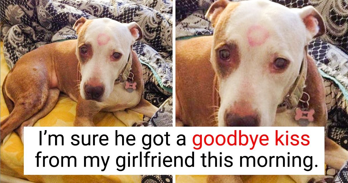 17 People Whose Day Was Brightened Up by Small Things