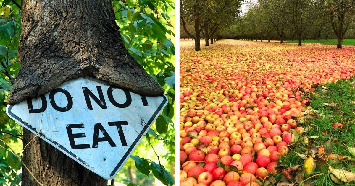 Photos Which Prove That Nature Doesn T Care About What People Want