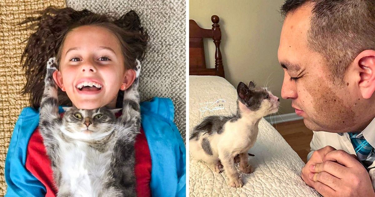 20 Kitties Whose Love Can Warm You More Than a Thousand Fires 20 Kitties Whose Love Can Warm You More Than a Thousand Fires