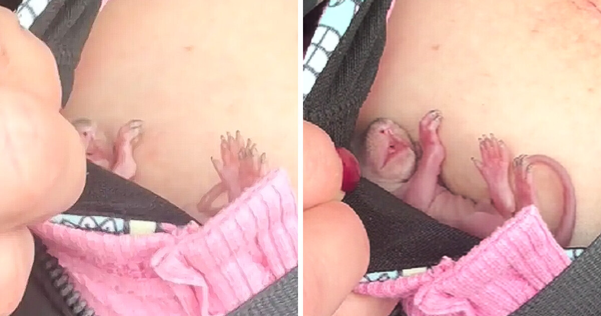 A Woman Rescued an Abandoned Baby Animal and Its Delicate State Left Everyone Stunned