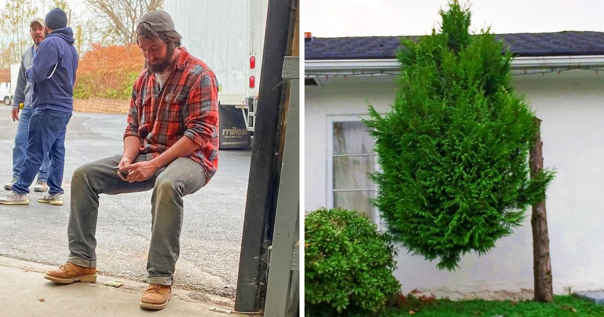20 Bewildering Photos That Made Us Wonder, “What Happened Here?”