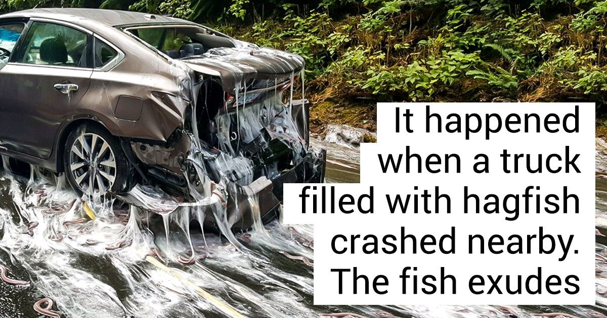 18 Photos That Require an Immediate Explanation as to What Happened in Them