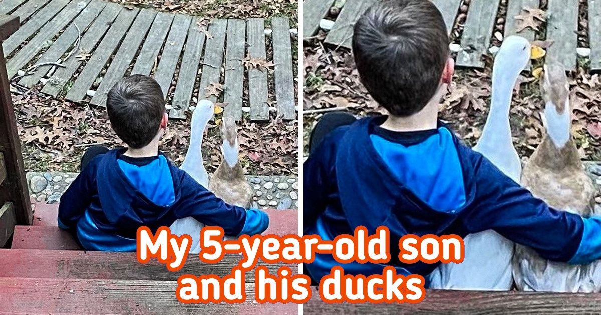 20 Pics That Prove Real Friendship Knows No Obstacles 20 Pics That Prove Real Friendship Knows No Obstacles