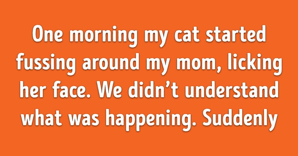 20 People Share Stories About Their Pets Who Amazed Them With Their Intelligence 20 People Share Stories About Their Pets Who Amazed Them With Their Intelligence