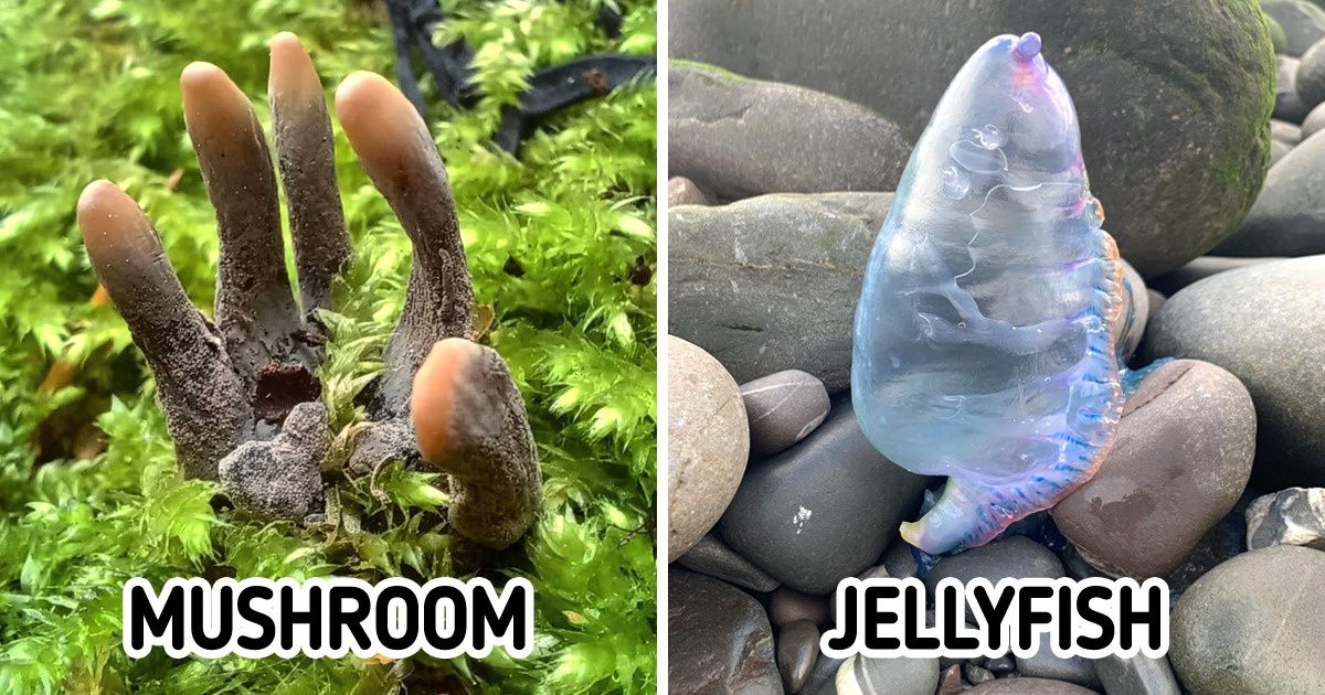 15+ Times Mother Nature Didn’t Need Any Special Effects to Impress Us