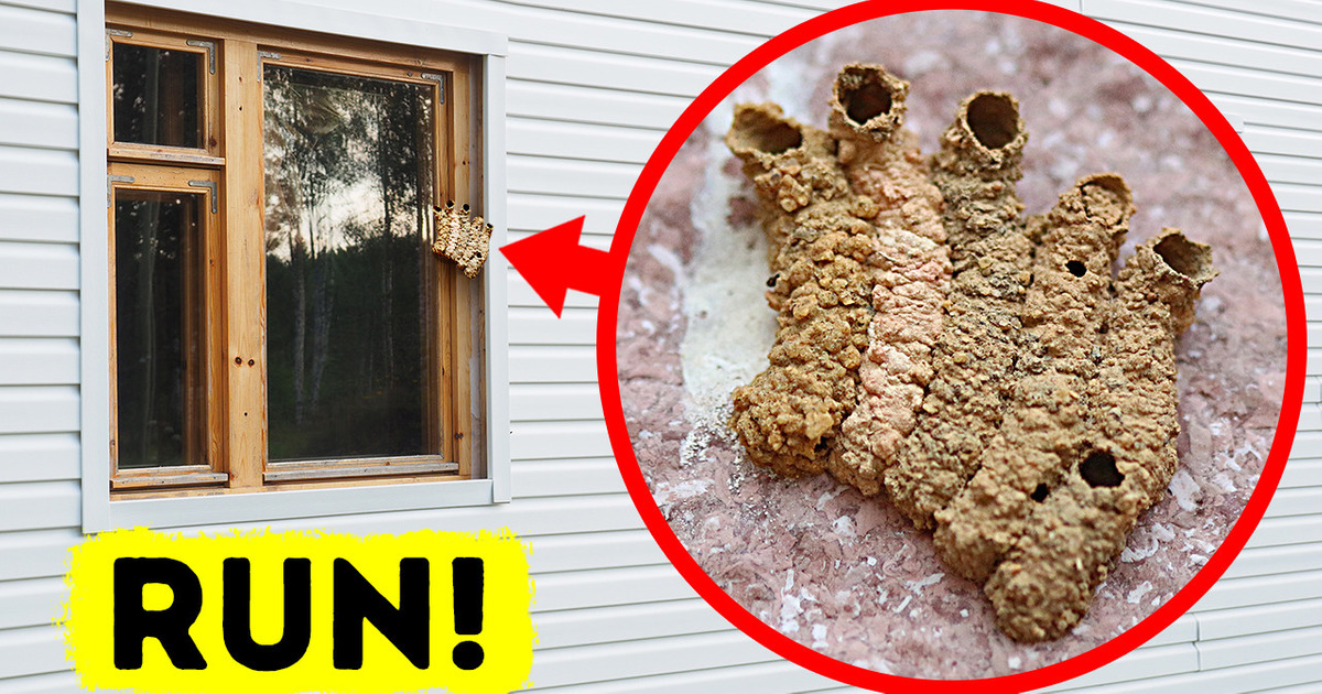 That’s Not Mud, and You Should Run If You See It