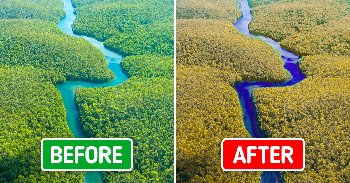 An Amazon Tribe Stops a Big Oil Company From Destroying Their Rainforest, and It’s a Giant Leap Toward Saving the Planet An Amazon Tribe Stops a Big Oil Company From Destroying Their Rainforest, and It’s a Giant Leap Toward Saving the Planet