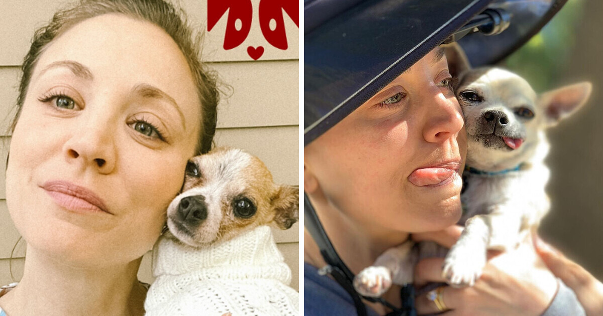 A Common PLANT Nearly Killed Kaley Cuoco’s Dog, and Now She Wants Everyone to Be Aware