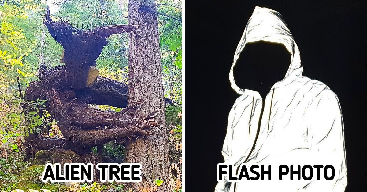 20+ Fortunate People Who Saw Something That Could Knock Your Socks Off