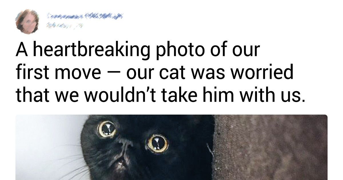 20+ Furry Friends Who Can Break Your Heart Like a First Love