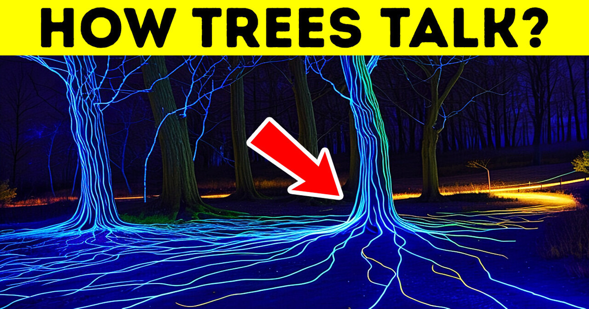 Plants Talk, We Just Don’t Hear Them