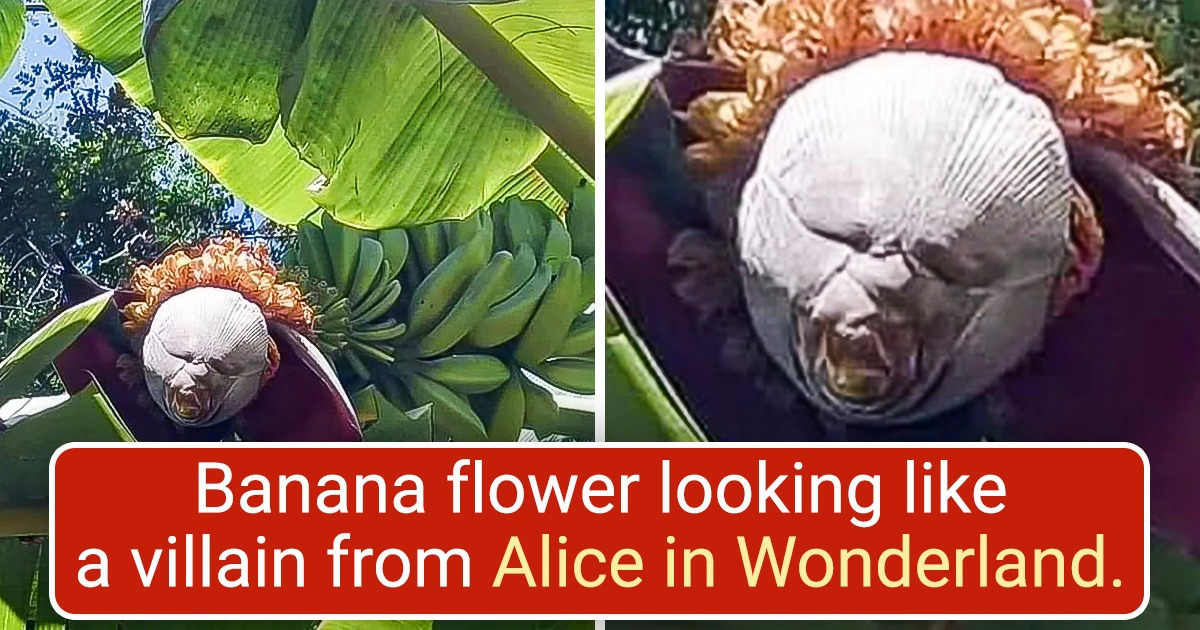 15+ Pictures That Prove Nature Has a Hidden Treasure Around Every Corner