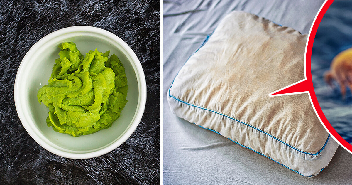 5 Surprising Discoveries You Won’t Believe: How Eating Wasabi Could Boost Your Memory