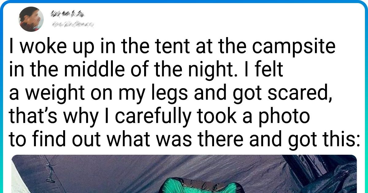 18 People Who Accidentally Ran Into Animals and Were Immediately Awe-Struck 18 People Who Accidentally Ran Into Animals and Were Immediately Awe-Struck