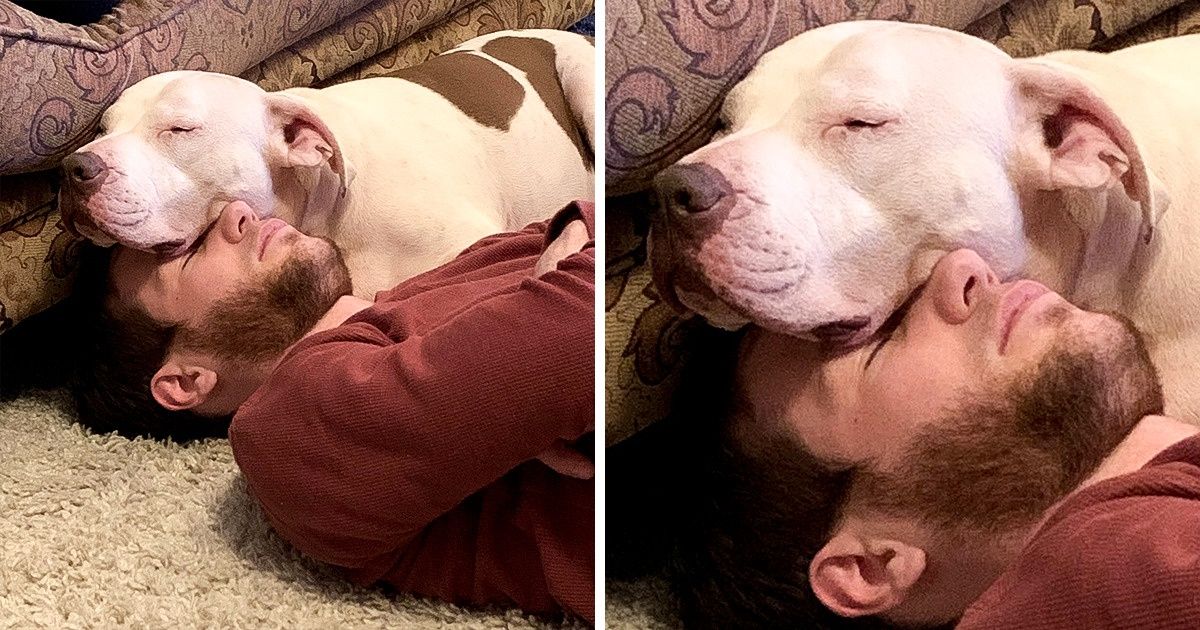 15+ Pics Prove Once Again That Animals Are Made of Love 15+ Pics Prove Once Again That Animals Are Made of Love