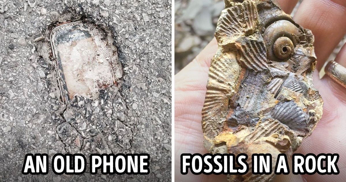 15+ Times People Discovered Cool Stuff Where They Least Expected