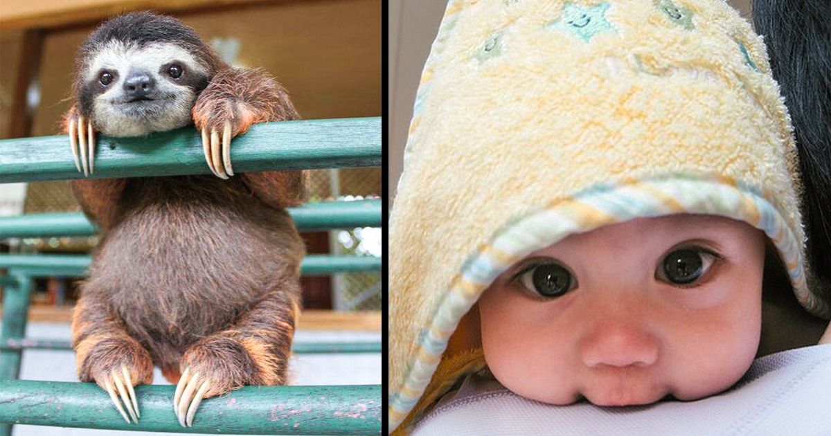 If You’re Having a Bad Day, This Post Is Exactly What You Need