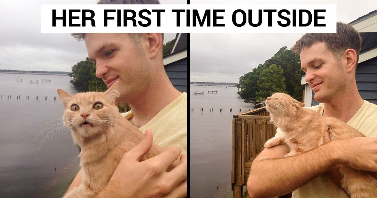 25 Times Animals Experienced Something for the First Time, and We Couldn’t Help but Smile