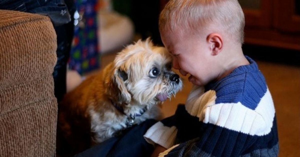 25 Photos That Show Why Every Child Should Have a Pet
