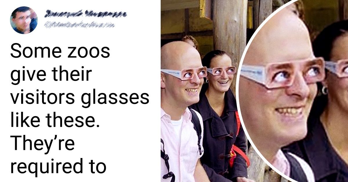 17 Facts About Animals That Can Make Your Jaw Drop