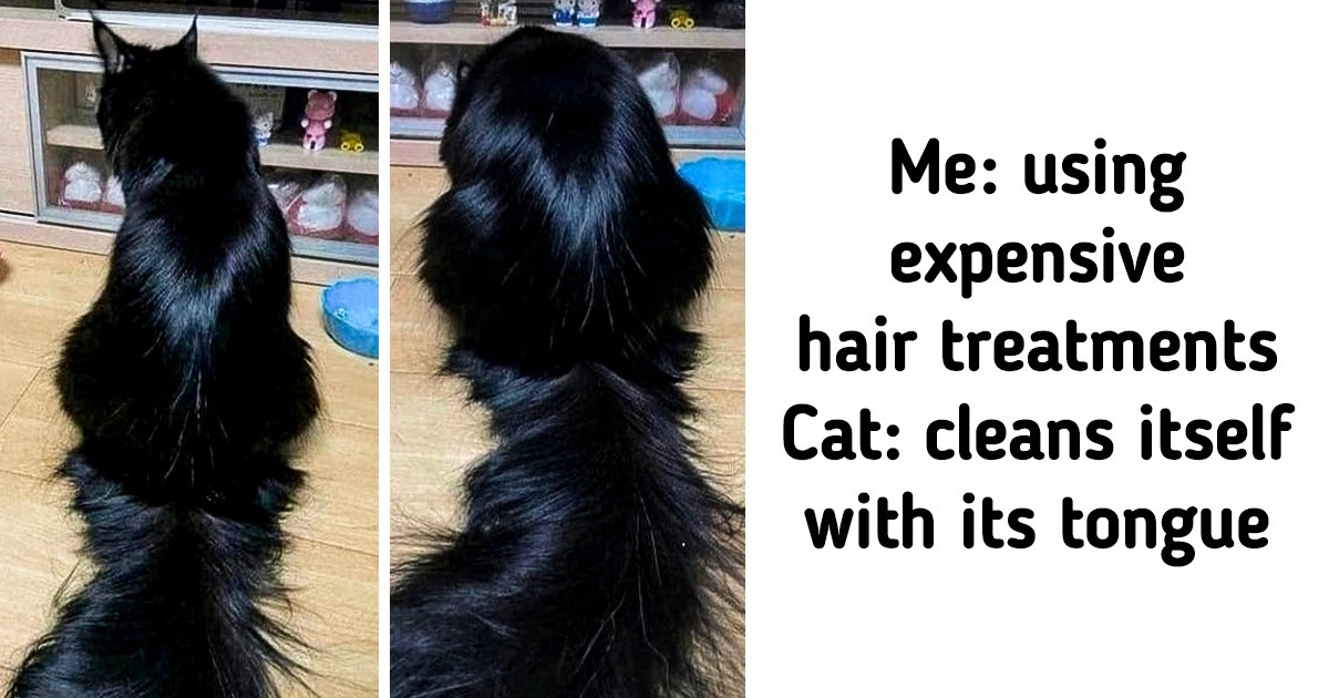 20 Times the Universe Asked Us to Take a Day Off