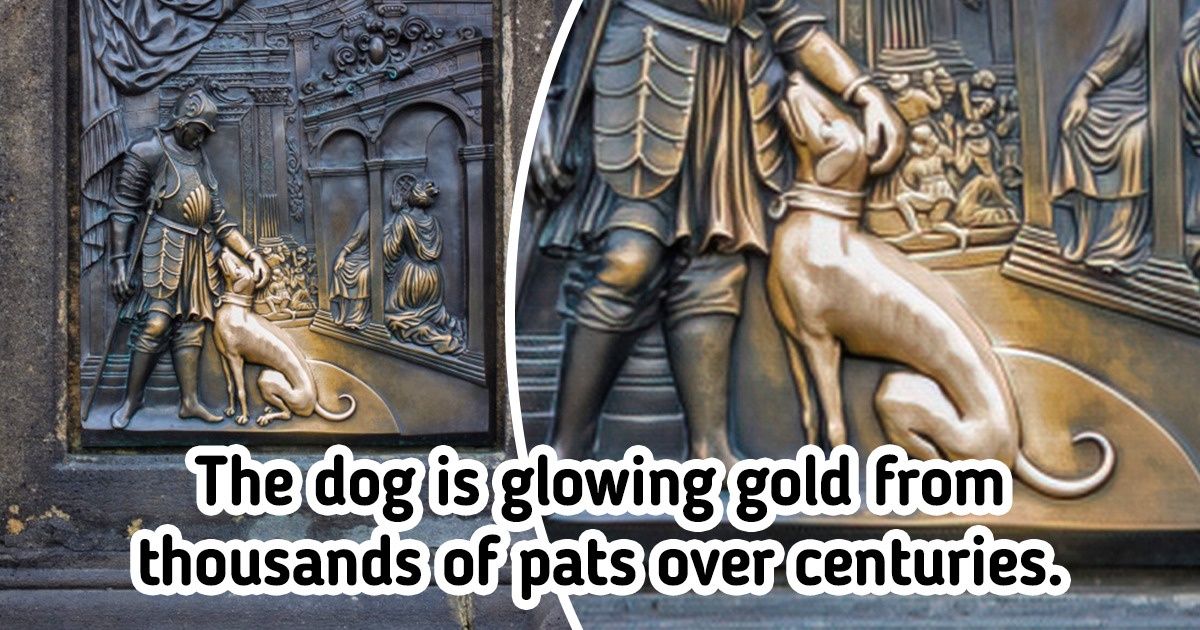 15 Photos That Will Make You Look at Things From a Different Angle 15 Photos That Will Make You Look at Things From a Different Angle