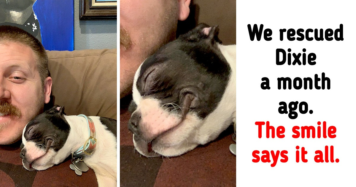 20 Animals Whose Hearts Overflow With Love for Those Around Them
