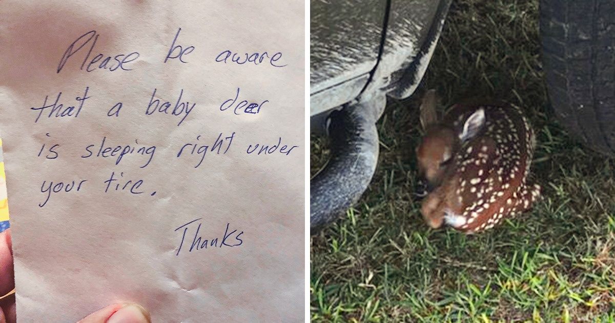 15+ Kind-Hearted People Who Make the World a Better Place to Live In