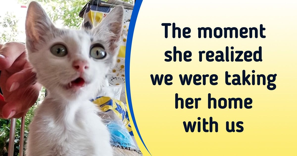 20+ Pics Showing Happiness is Always Within Reach When You Appreciate the Simple Things