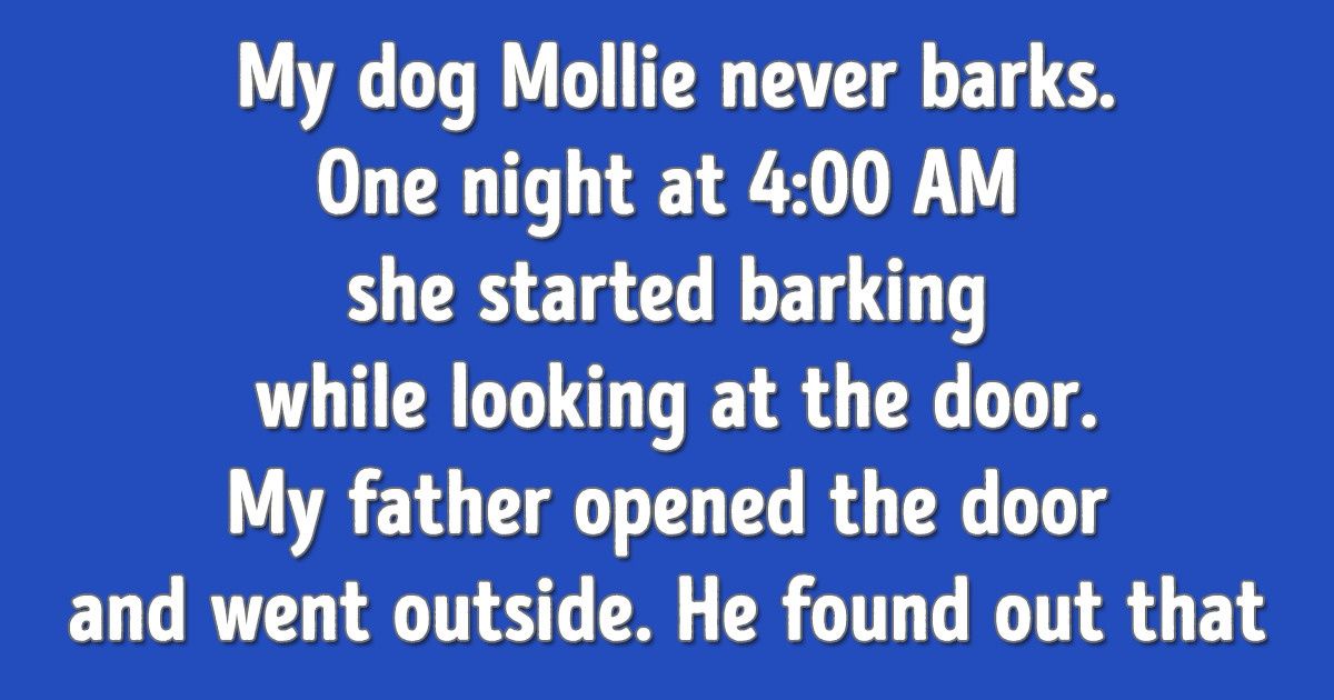 Bright Side Readers Told 13 Stories About Animals Who Helped Their Owners When They Least Expected It Bright Side Readers Told 13 Stories About Animals Who Helped Their Owners When They Least Expected It