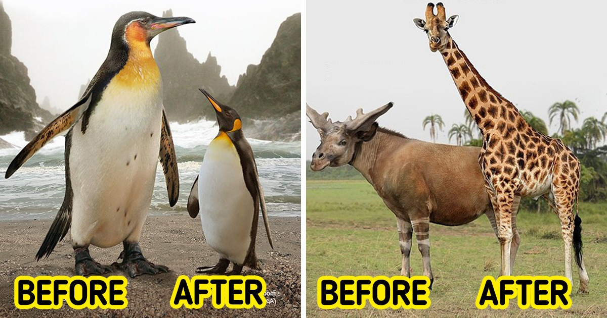 14 Extinct Animals Whose Present-Day Relatives Are Still Happily Walking on Our Planet 14 Extinct Animals Whose Present-Day Relatives Are Still Happily Walking on Our Planet
