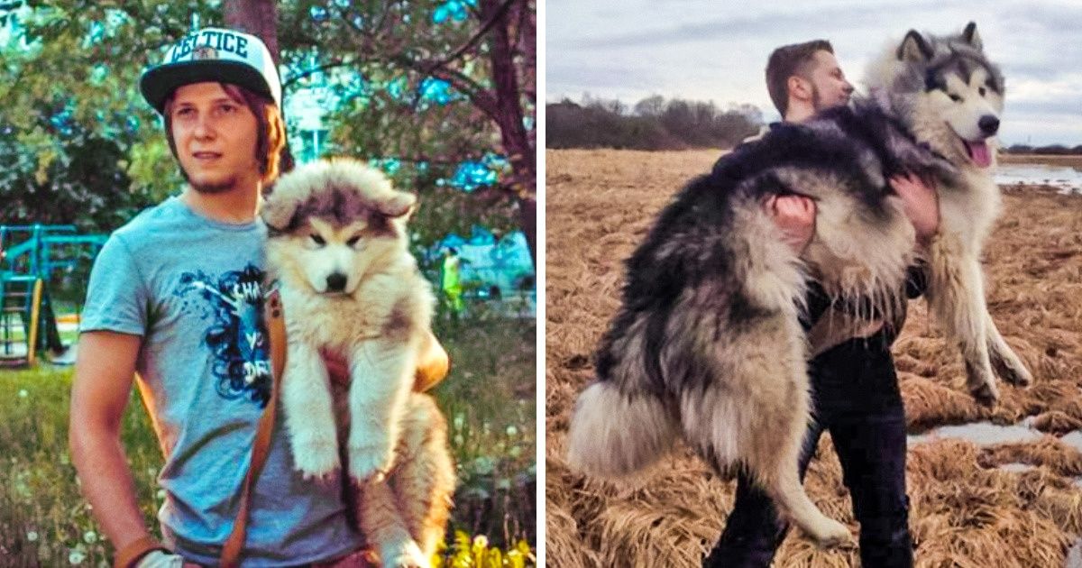 27 Photos That Prove Time Changes Everything