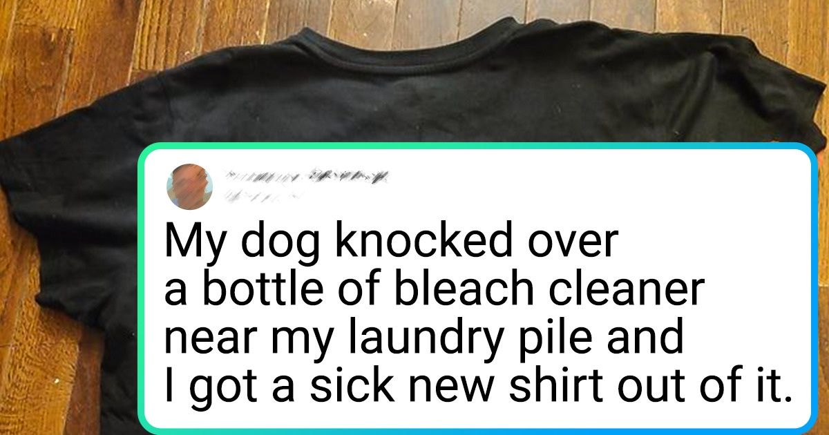 15 Times When Someone Accidentally Created a Small Masterpiece