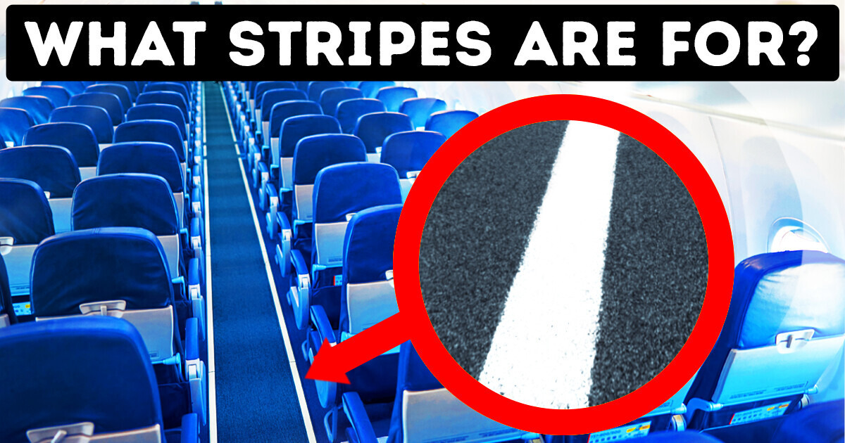 20+ Mysterious Little Things on Planes That Are Very Important
