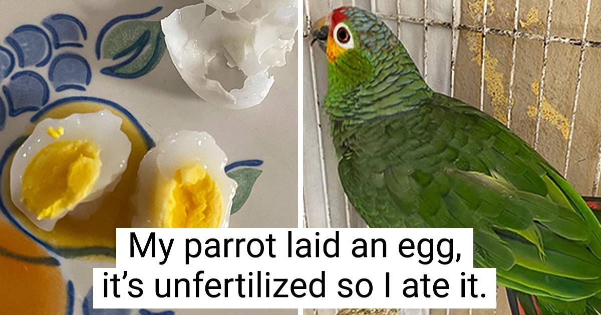 16 People Who Were Lucky Enough to See the Hidden Side of Things