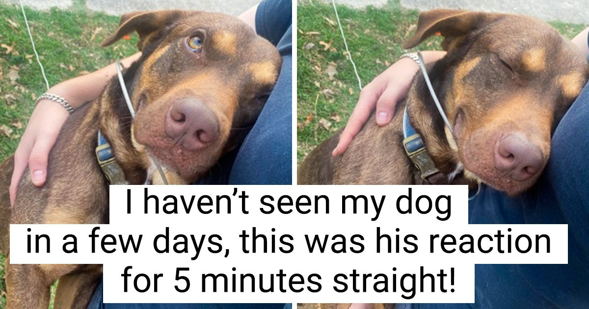 16 Warm Pics to Remind Us That Love Is Around Almost Every Corner