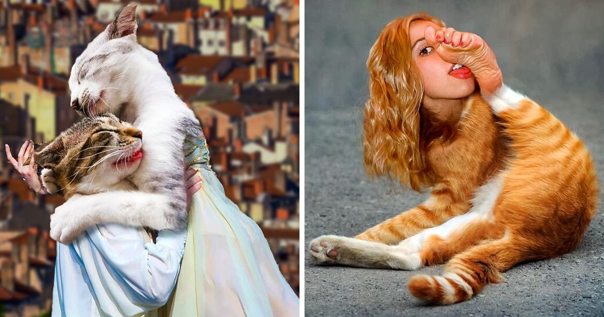 An Artist Creates Head-Spinning Photo Collages and They Are Weirdly Endearing