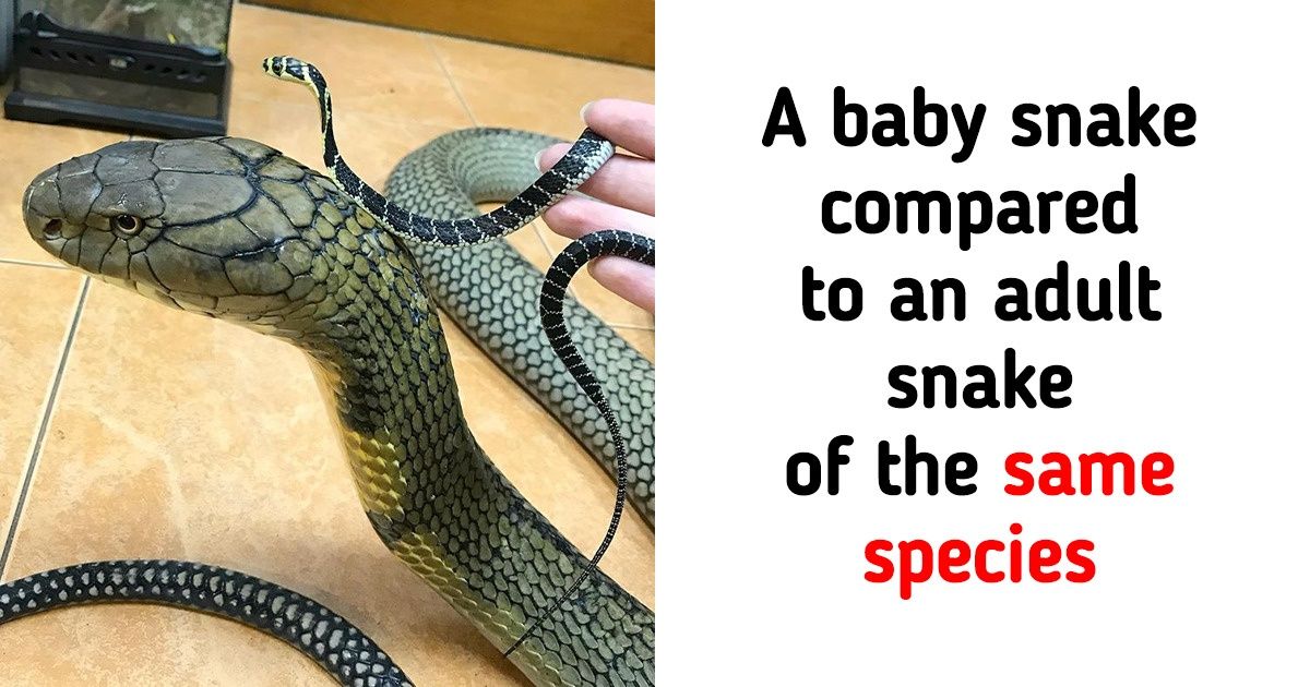 20 Rare Images That Will Change Your View on Life