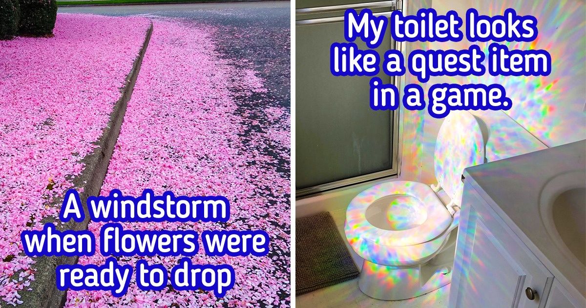 20 People Who Always Have Their Camera Ready to Capture Nature’s Stunts